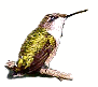 Hummingbird Applications, Inc.